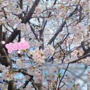 ヒメ日記 2026/03/30 21:25 投稿 ゆずちゃん ChuChuバナナ