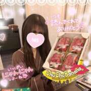 ヒメ日記 2026/03/31 07:59 投稿 ゆずちゃん ChuChuバナナ