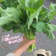 ヒメ日記 2026/04/04 11:09 投稿 ゆずちゃん ChuChuバナナ