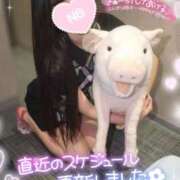 ヒメ日記 2026/08/23 17:59 投稿 ゆずちゃん ChuChuバナナ