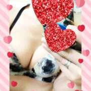 ヒメ日記 2025/07/20 07:36 投稿 こむぎ 丸妻 横浜本店