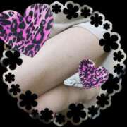 ヒメ日記 2025/10/27 11:29 投稿 こむぎ 丸妻 横浜本店