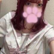 ねね ろぐいんっ🍒ྀི コンカフェ×オナクラ あいこねくと