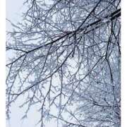 ヒメ日記 2025/01/01 09:03 投稿 日南　心 プルプル倶楽部 札幌すすきの店