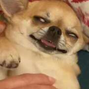 ヒメ日記 2025/01/18 16:34 投稿 日南　心 プルプル倶楽部 札幌すすきの店