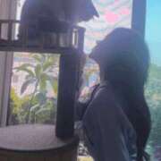 ヒメ日記 2025/09/22 12:12 投稿 日南　心 プルプル倶楽部 札幌すすきの店