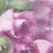 ヒメ日記 2025/11/01 08:03 投稿 日南　心 プルプル倶楽部 札幌すすきの店