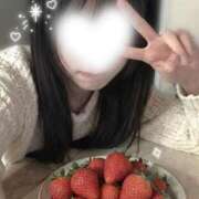 ヒメ日記 2026/02/17 06:57 投稿 日南　心 プルプル倶楽部 札幌すすきの店