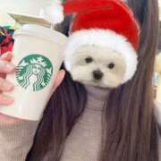 ヒメ日記 2025/12/25 23:20 投稿 ももか 逆バニーメンズエステ とろとろオイルSPA