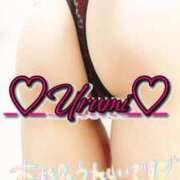 ヒメ日記 2025/07/07 05:31 投稿 うるみ 奥様特急長岡店