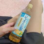 ヒメ日記 2026/04/03 14:31 投稿 めい 素人妻御奉仕倶楽部Hip's取手店