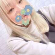 めい おいしいもの 素人妻御奉仕倶楽部Hip's取手店