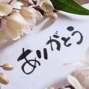 ヒメ日記 2024/12/17 01:26 投稿 なつみ 熟女の風俗アウトレット大垣安八羽島店