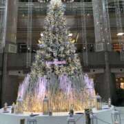 ヒメ日記 2024/12/24 11:16 投稿 なつみ 熟女の風俗アウトレット大垣安八羽島店