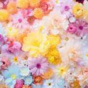 ヒメ日記 2025/02/20 10:05 投稿 寧々 出会い系人妻ネットワーク さいたま～大宮編