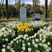 ヒメ日記 2025/07/13 09:42 投稿 寧々 出会い系人妻ネットワーク さいたま～大宮編