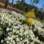 ヒメ日記 2025/07/16 19:01 投稿 寧々 出会い系人妻ネットワーク さいたま～大宮編