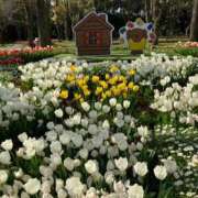 ヒメ日記 2025/07/17 18:02 投稿 寧々 出会い系人妻ネットワーク さいたま～大宮編