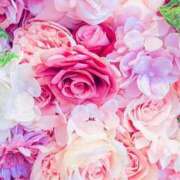 ヒメ日記 2026/01/15 12:51 投稿 寧々 出会い系人妻ネットワーク さいたま～大宮編