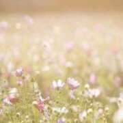 ヒメ日記 2026/01/16 10:09 投稿 寧々 出会い系人妻ネットワーク さいたま～大宮編