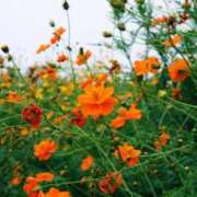 ヒメ日記 2026/01/29 05:13 投稿 寧々 出会い系人妻ネットワーク さいたま～大宮編