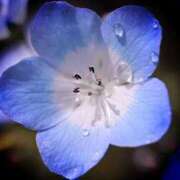 ヒメ日記 2026/02/12 12:32 投稿 寧々 出会い系人妻ネットワーク さいたま～大宮編