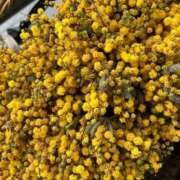 ヒメ日記 2026/04/14 08:16 投稿 寧々 出会い系人妻ネットワーク さいたま～大宮編