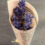 ヒメ日記 2026/04/20 08:30 投稿 寧々 出会い系人妻ネットワーク さいたま～大宮編