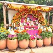 ヒメ日記 2025/11/06 11:37 投稿 あや ハピネス東京