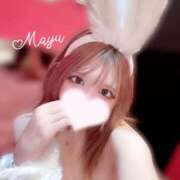 ヒメ日記 2025/08/03 19:15 投稿 マユ【小柄で可愛いバニー♪】 バニーコレクション 中洲店