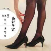 ヒメ日記 2024/12/15 18:39 投稿 春戸ゆきの e女商事 池袋店