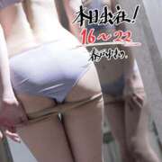 ヒメ日記 2025/02/05 16:00 投稿 春戸ゆきの e女商事 池袋店