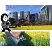 ヒメ日記 2025/02/18 20:01 投稿 春戸ゆきの e女商事 池袋店