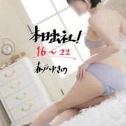 ヒメ日記 2025/02/19 16:01 投稿 春戸ゆきの e女商事 池袋店