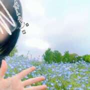 ヒメ日記 2025/05/01 18:05 投稿 春戸ゆきの e女商事 池袋店