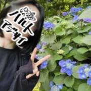 ヒメ日記 2025/06/02 20:32 投稿 春戸ゆきの e女商事 池袋店