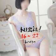 ヒメ日記 2025/07/24 16:16 投稿 春戸ゆきの e女商事 池袋店