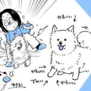 ヒメ日記 2025/07/29 18:06 投稿 春戸ゆきの e女商事 池袋店