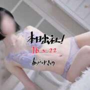 ヒメ日記 2025/11/14 12:06 投稿 春戸ゆきの e女商事 池袋店