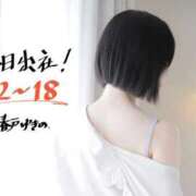 ヒメ日記 2025/11/15 12:06 投稿 春戸ゆきの e女商事 池袋店