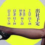 ヒメ日記 2025/12/05 07:16 投稿 春戸ゆきの e女商事 池袋店