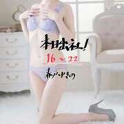 ヒメ日記 2026/02/13 12:20 投稿 春戸ゆきの e女商事 池袋店