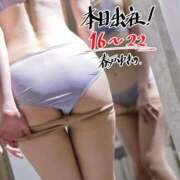 ヒメ日記 2026/02/19 12:16 投稿 春戸ゆきの e女商事 池袋店