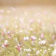 ヒメ日記 2025/02/20 17:31 投稿 寧々 出会い系人妻ネットワーク 春日部〜岩槻編