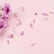 ヒメ日記 2025/04/24 22:32 投稿 寧々 出会い系人妻ネットワーク 春日部〜岩槻編