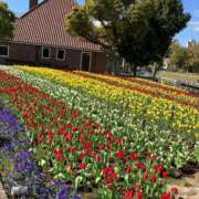 ヒメ日記 2025/07/17 13:03 投稿 寧々 出会い系人妻ネットワーク 春日部〜岩槻編