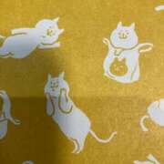 ヒメ日記 2025/09/08 15:18 投稿 寧々 出会い系人妻ネットワーク 春日部〜岩槻編