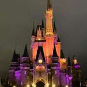 ヒメ日記 2025/11/04 14:12 投稿 寧々 出会い系人妻ネットワーク 春日部〜岩槻編