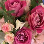 ヒメ日記 2025/11/05 17:01 投稿 寧々 出会い系人妻ネットワーク 春日部〜岩槻編