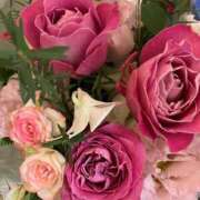 ヒメ日記 2025/11/17 08:25 投稿 寧々 出会い系人妻ネットワーク 春日部〜岩槻編